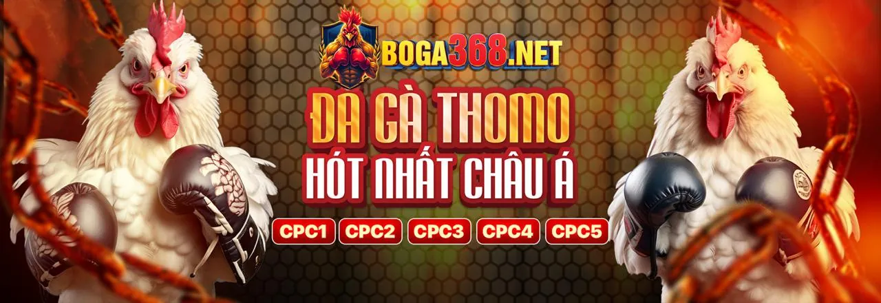 Đá gà trực tuyến kịch tính tại xso99 link vào